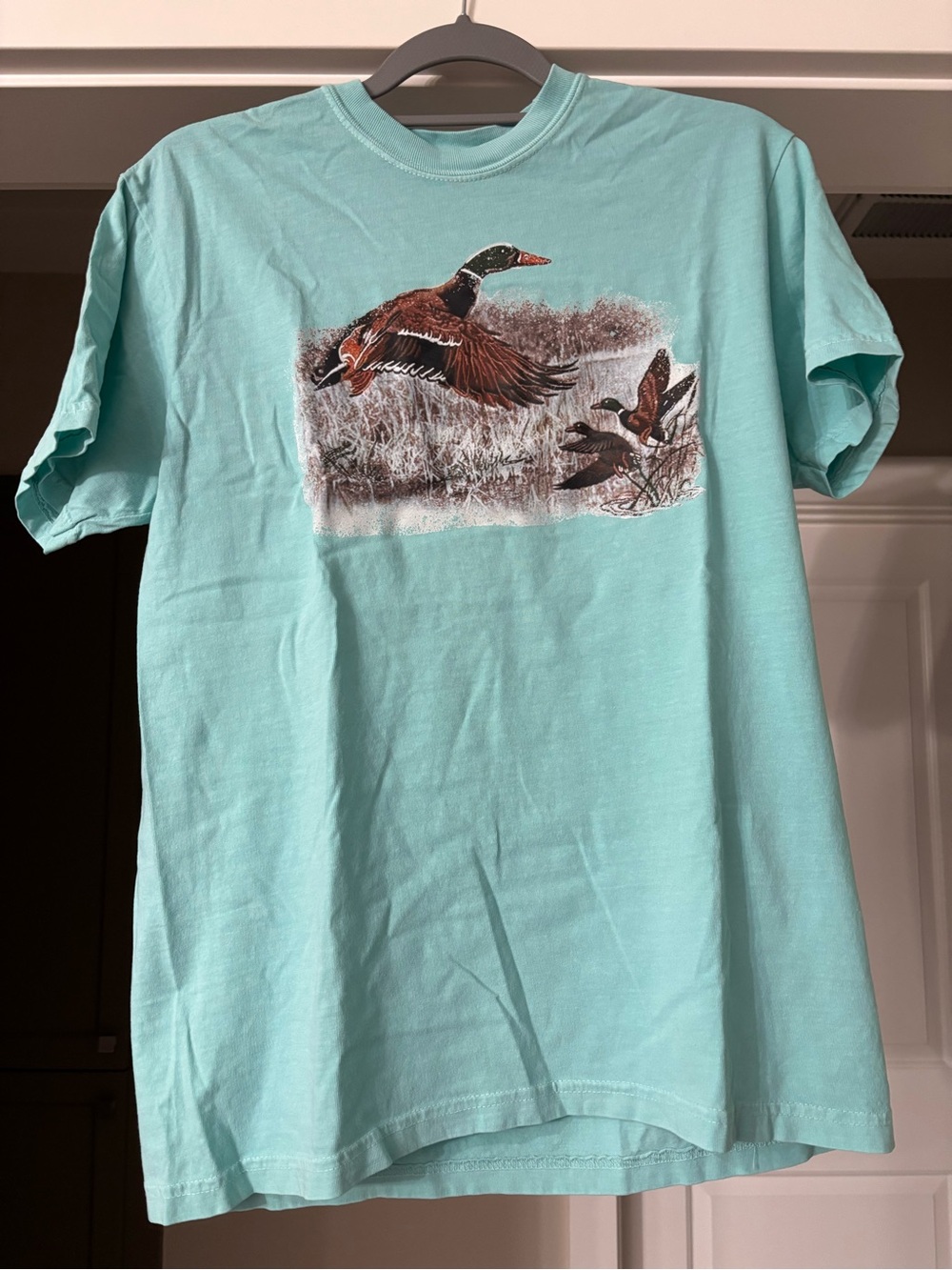 Men's Mint Graphic Duck Short-Sleeve T-Shirt